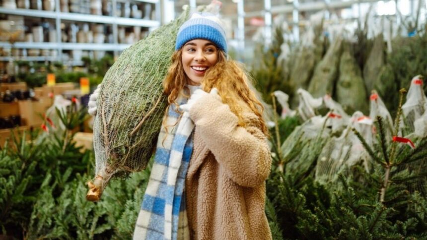 img Brazi de Crăciun – Opțiuni pentru sărbătorile de iarnă