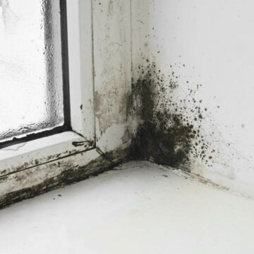 img Cum să previi apariția mucegaiului la geamuri