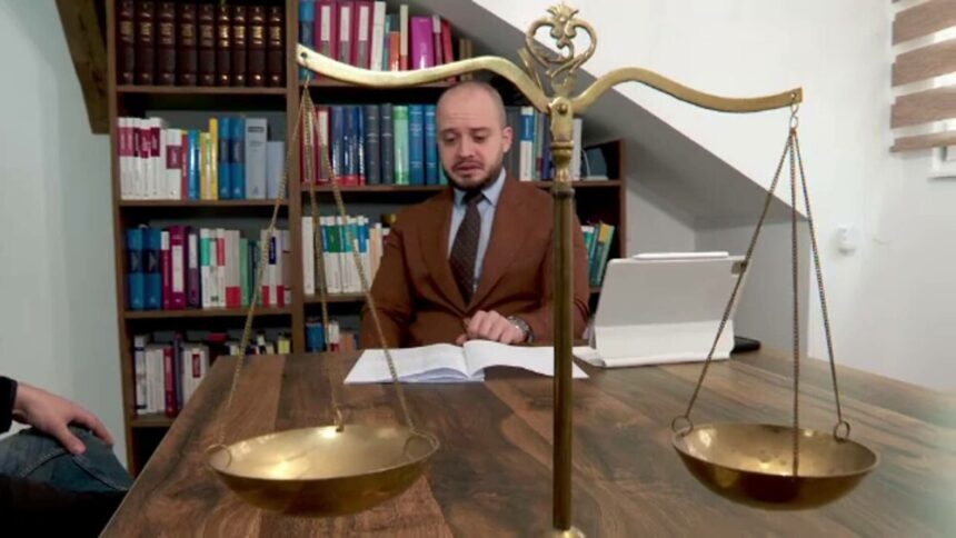 Program de vizită pentru pisici stabilit de o instanță din Cluj