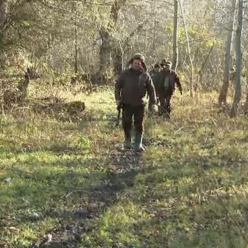 img Specia fără prădător natural din Delta Dunării care a scăpat de sub controlul autorităților. Sute de exemplare vor fi vânate