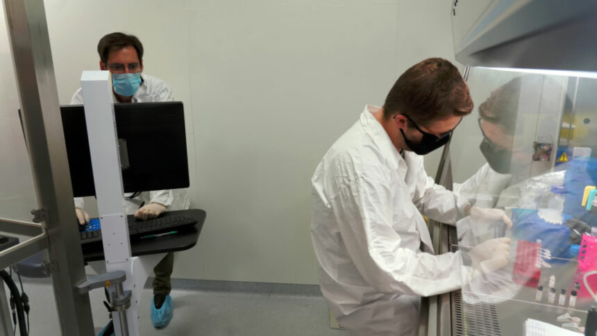 Descoperirea cercetătorilor a unei metode de reducere a mutațiilor genetice care cauzează cancer