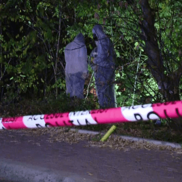 img Tragedie în Buzău: Bărbat dispărut găsit mort într-o pădure