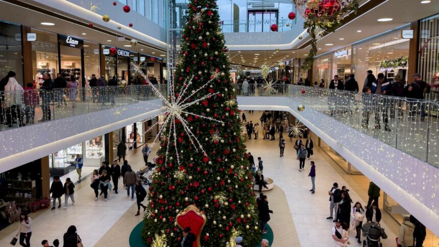 img Programul mall-urilor de Crăciun 2024