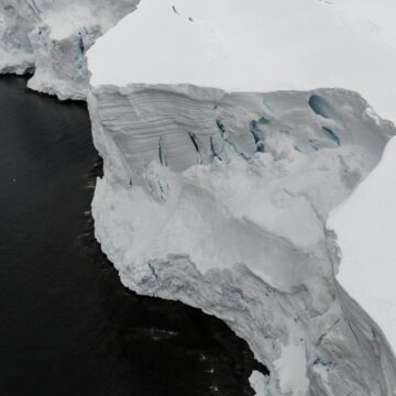img Creaturile din Antarctica care pot trăi 11.000 de ani