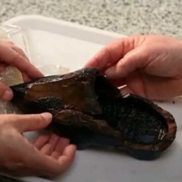 img Descoperirea unui sabot de lemn vechi de 500 de ani în Ţările de Jos