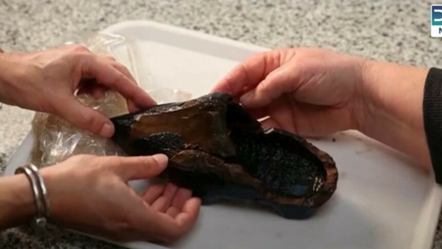 img Descoperirea unui sabot de lemn vechi de 500 de ani în Ţările de Jos