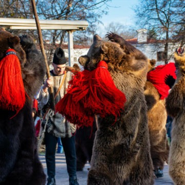 Jocul Ursului – tradiție românească și semnificația sa