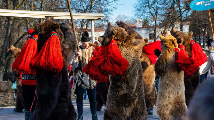 Jocul Ursului – tradiție românească și semnificația sa