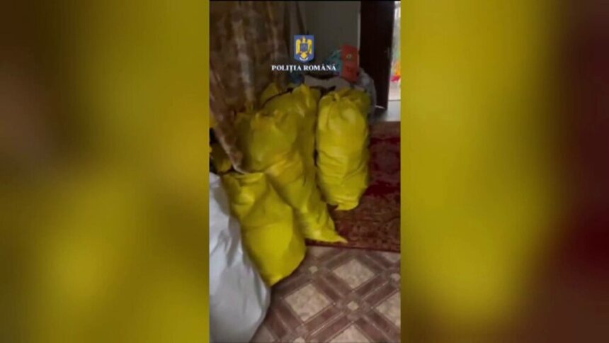 Scandal la Cluj: Angajatul care a furat haine în valoare de 20.000 de euro