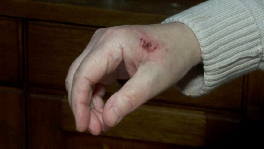 img Doi bătrâni din Arad au reușit să imobilizeze un hoț care intrase peste ei în casă