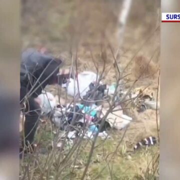 Trei bărbați din Brașov, prinși de jandarmi când aruncau gunoaie într-o zonă montană. Amenda usturătoare pe care au primit-o