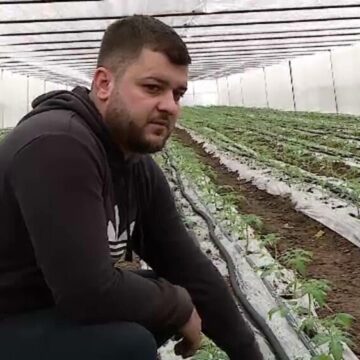 img Legume românești în piețe din februarie: prețuri și investiții