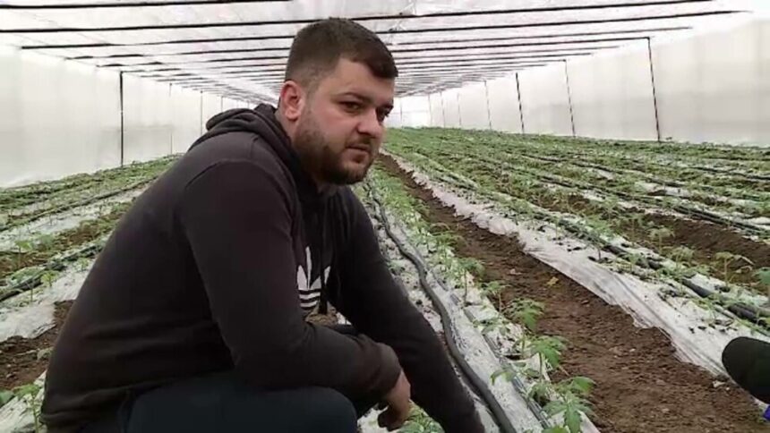 img Legume românești în piețe din februarie: prețuri și investiții