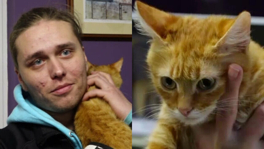 img Povestea uimitoare a fugarului ucrainean și a motanului său Persik