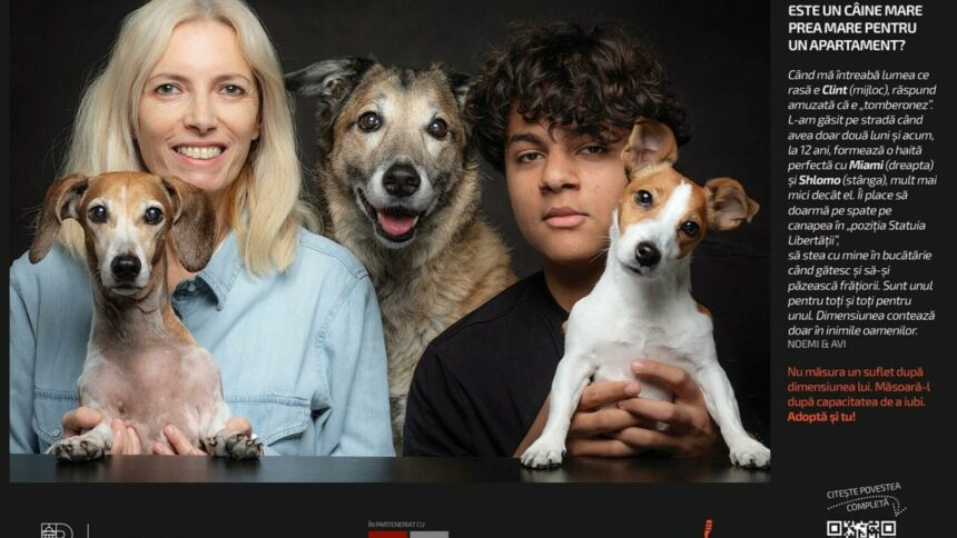 De ce preferă bucureștenii să cumpere căței în loc să adopte? Criterii și mituri