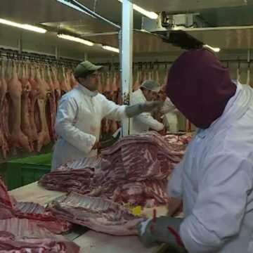 img Interdicția de export a cărnii de porc din România către Marea Britanie și impactul economic