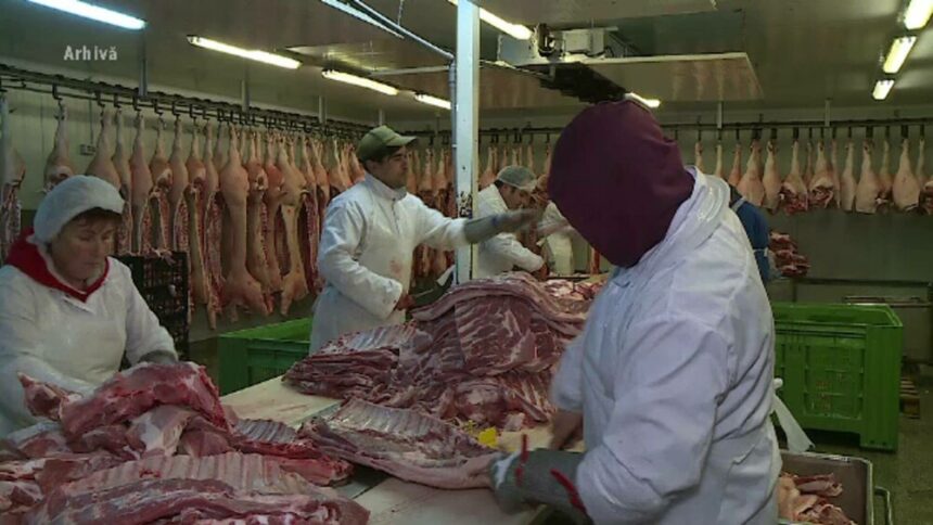 img Interdicția de export a cărnii de porc din România către Marea Britanie și impactul economic