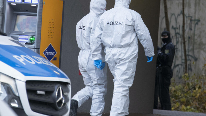 Misterul crimei din pivnița din Viena