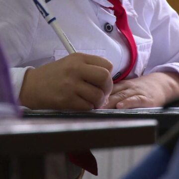 img Doi ani de studiu într-unul singur – Propunerea educațională pentru elevii cu performanțe excepționale