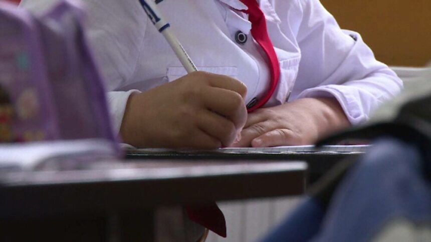 img Doi ani de studiu într-unul singur – Propunerea educațională pentru elevii cu performanțe excepționale