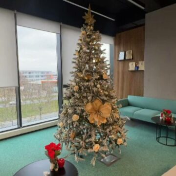 img Brad de Crăciun împodobit perfect, livrat direct acasă