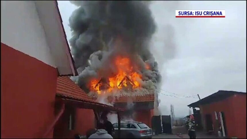 Incendii violente provocate de afumătorile improvizate înaintea sărbătorilor