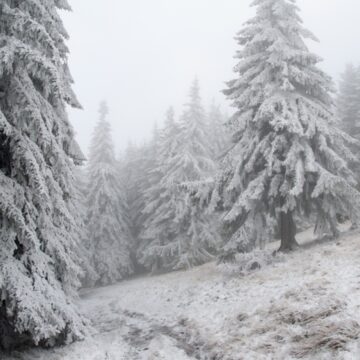 img Avertizare cod galben de ninsoare și vânt puternic în județul Cluj