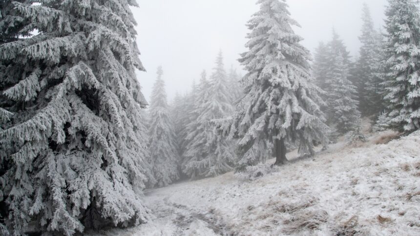 img Avertizare cod galben de ninsoare și vânt puternic în județul Cluj