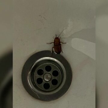 img Condiții mizere la Spitalul de Copii din Cluj