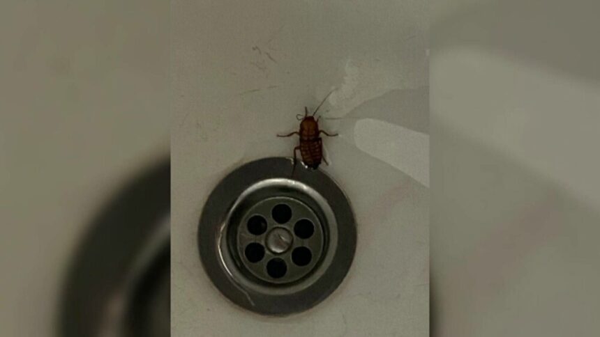 img Condiții mizere la Spitalul de Copii din Cluj