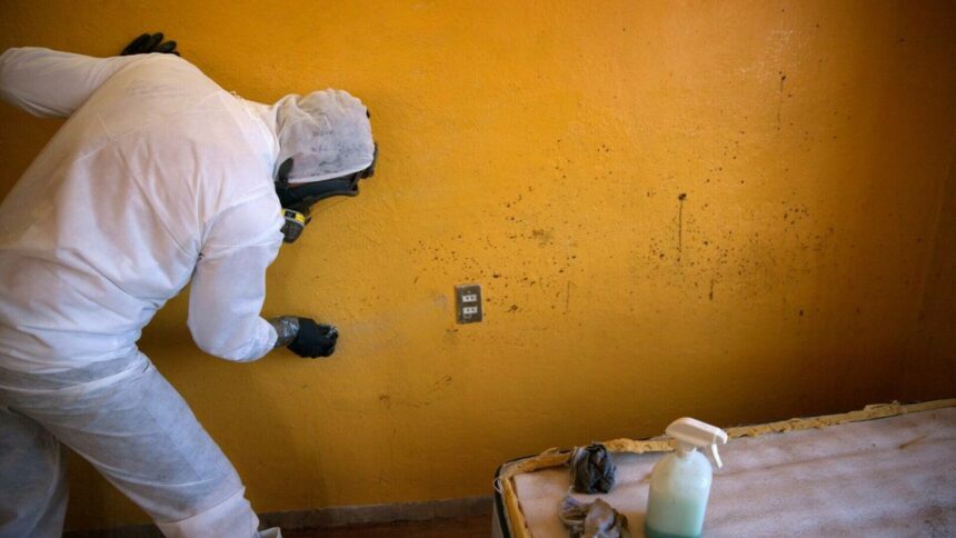 Confesiunile unei femei care curăță locurile crimelor