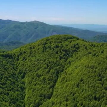 img Conservarea frumuseților naturale ale Parcului Natural Apuseni