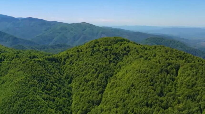 img Conservarea frumuseților naturale ale Parcului Natural Apuseni