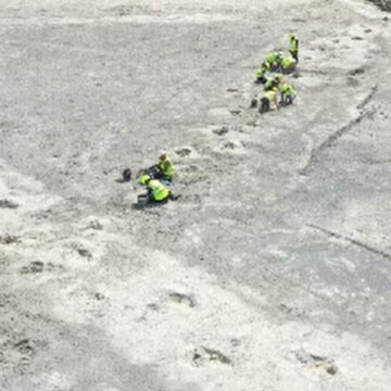 img Descoperirea uriașă a urmelor de dinozauri într-o carieră din Marea Britanie