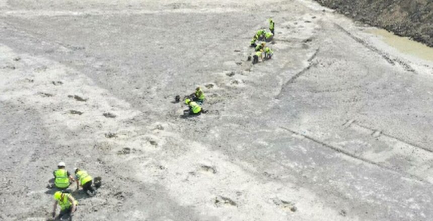 img Descoperirea uriașă a urmelor de dinozauri într-o carieră din Marea Britanie