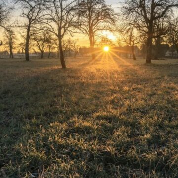 img Prognoza meteo pentru ziua de 20 ianuarie