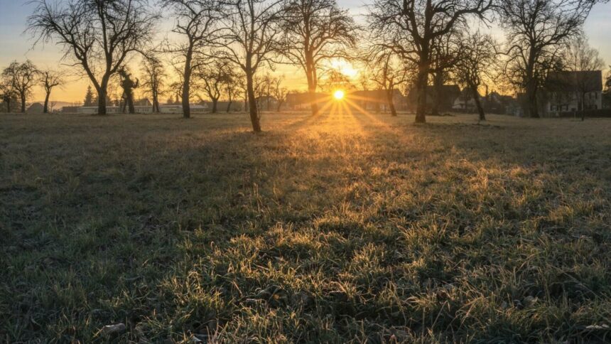 img Prognoza meteo pentru ziua de 20 ianuarie