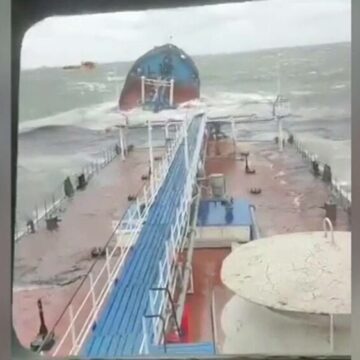 Impactul poluării cu petrol din Marea Neagră asupra faunei marine