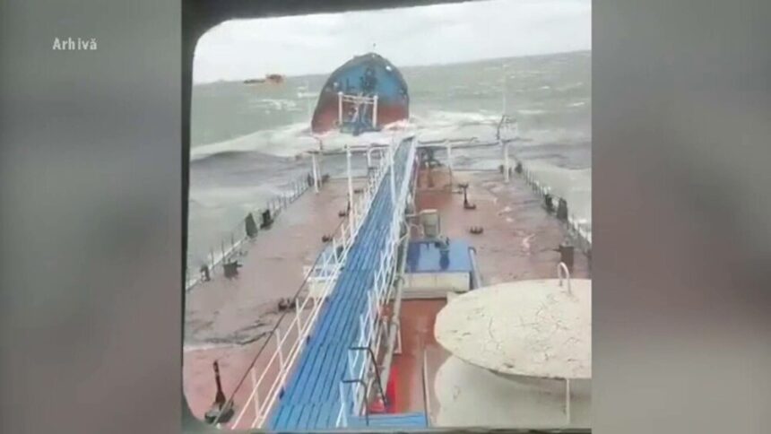 img Impactul poluării cu petrol din Marea Neagră asupra faunei marine