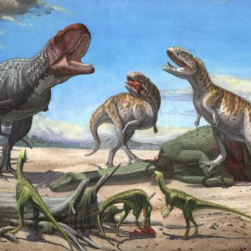 Originea dinozaurilor și despărțirea supercontinentului Pangea