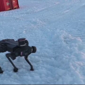 img Câini-robot folosiți tot mai des în China: ajutorul tehnologiei pentru rezolvarea sarcinilor periculoase și salvarea vieților