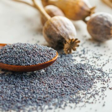 img Beneficiile semințelor de mac pentru sănătate și cum să le consumi cu prudență