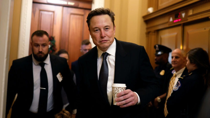 Elon Musk și-a schimbat numele pe X. Speculațiile fanilor după ce miliardarul a devenit „Kekius Maximus”
