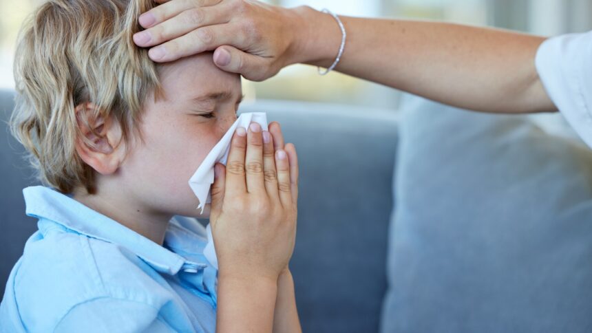 img Situația epidemiei de gripă în Bulgaria și măsurile luate