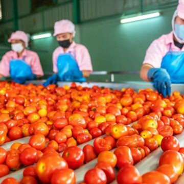 Oportunitate de angajare pentru români în Olanda la compania Greenpack