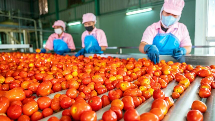 img Oportunitate de angajare pentru români în Olanda la compania Greenpack