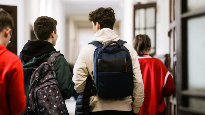 img Modificări propuse în planurile cadru pentru licee: Mai multe cursuri opționale și elemente de antreprenoriat