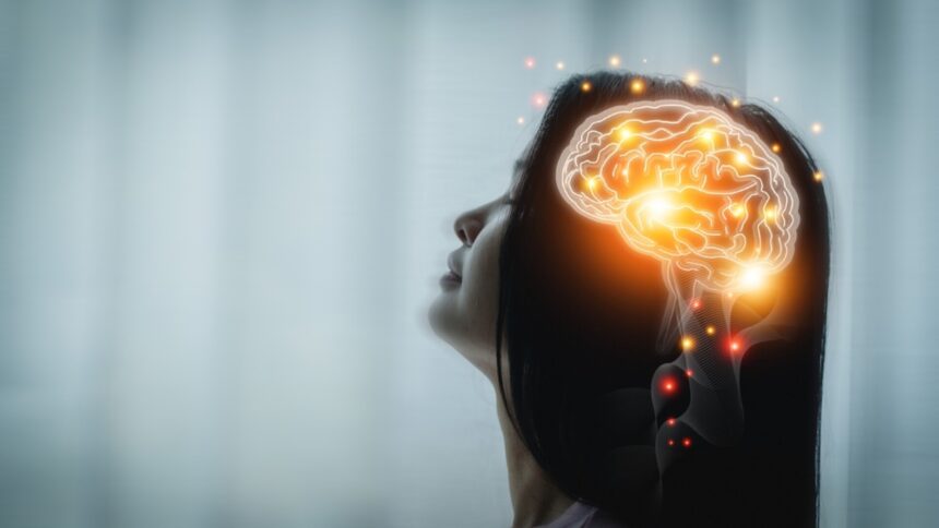 img Cum îmbătrânește creierul și întregul organism