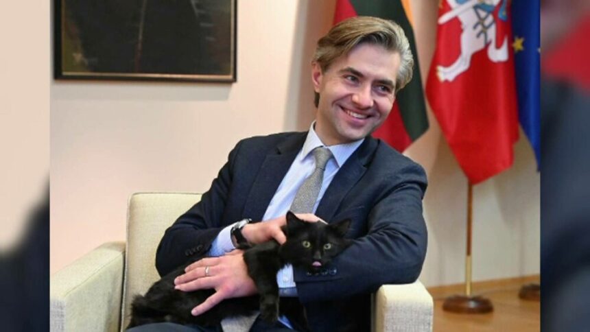 img Motanul diplomatic Rango și influența sa în Ministerul de Externe din Vilnius