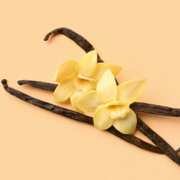 img Vanilie – Tot ce trebuie să știi despre această plantă exotica